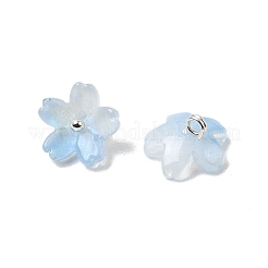 Glass Charms&nbsp;GLAA-G127-05E