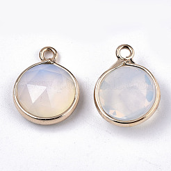 Opalite Charms&nbsp;G-N326-49G