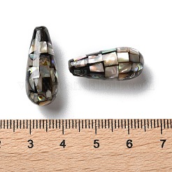 Natural Paua Shell Beads&nbsp;SSHEL-B002-10B-02