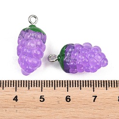 10Pcs Transparent Resin Fruit Pendants&nbsp;CRES-FP0001-10
