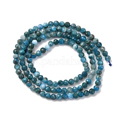 Natural Apatite Beads Strands&nbsp;G-RM241221-B12