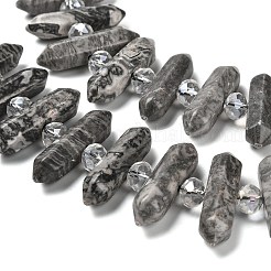 Natural Map Stone Double Terminated Point Beads Strands&nbsp;G-H069-B09-01