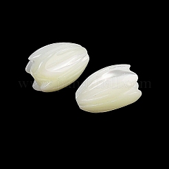 Natural Trochus Shell Flower Beads&nbsp;BSHE-G036-07