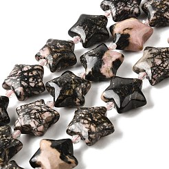 Natural Rhodonite Beads Strands&nbsp;G-U023-C01-05