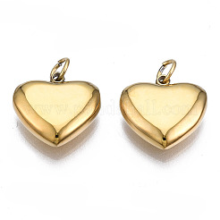 316 Surgical Stainless Steel Charms&nbsp;LS-STAS-N097-045