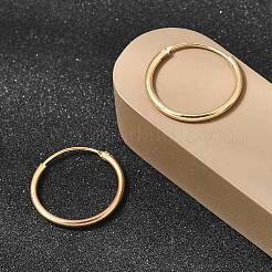 Brass Hoop Earrings&nbsp;EJEW-G474-01G-03