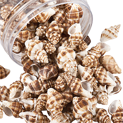 Spiral Shell Pendants&nbsp;SSHEL-TA0001-02
