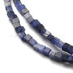 Natural Sodalite Beads Strands&nbsp;G-B064-A27