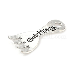 Tibetan Style Alloy Pendants&nbsp;FIND-B050-25AS-01