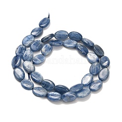 Natural Kyanite Beads Strands&nbsp;G-H335-D01-8x12mm