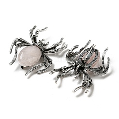 Dual-use Items Alloy Pave Jet Rhinestone Spider Brooch&nbsp;JEWB-C026-07I-AS