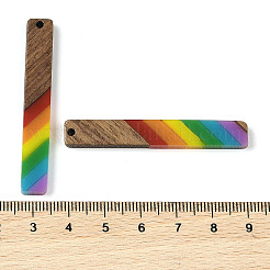 Pride Rainbow Theme Resin & Walnut Wood Pendants&nbsp;WOOD-K012-06A
