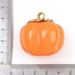 Opaque Resin Pendants&nbsp;FIND-E053-02B-G