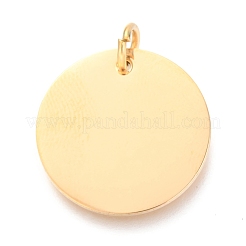 Ion Plating(IP) 304 Stainless Steel Charms&nbsp;EJEW-L238-03E-G