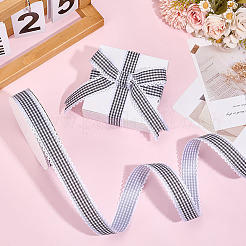 Polyester Ribbon&nbsp;OCOR-WH0101-164C