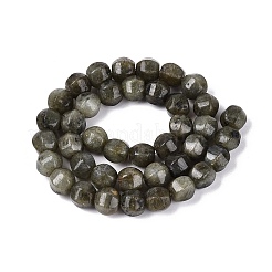 Natural Labradorite Beads Strands&nbsp;G-Q608-08A-08