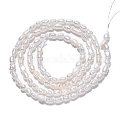 Natural Cultured Freshwater Pearl Beads Strands&nbsp;PEAR-N012-02I
