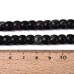 Natural Biotite Beads Strands&nbsp;G-Q616-02A-12