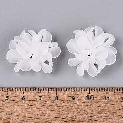 Frosted Transparent Acrylic Cabochons&nbsp;AC-N177-01B-01