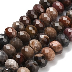 Natural Petrified Wood Beads Strands&nbsp;G-C259-A06-8x12mm-01