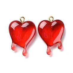 Transparent Resin Pendants&nbsp;RESI-F028-01