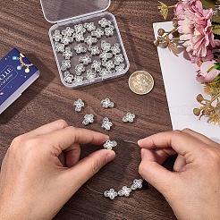 50Pcs Tibetan Style Alloy Beads&nbsp;FIND-SC0021-24