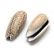 Spiral Shell Pendants&nbsp;SSHEL-Q299-013-2