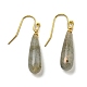 Ion Plating(IP) Natural Labradorite Dangle Earring&nbsp;EJEW-C084-01G-04-1