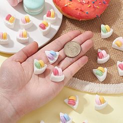30Pcs Opaque Resin Imitation Food Cabochons&nbsp;RESI-CJ0003-63