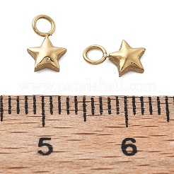 304 Stainless Steel Charms&nbsp;STAS-M111-32G