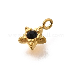 304 Stainless Steel Charms&nbsp;STAS-R159-58G-04