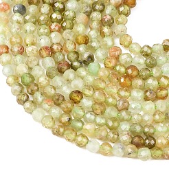 Natural Green Garnet Beads Strands&nbsp;G-A235-A02-02A