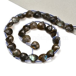 Natural Labradorite Beads Strands&nbsp;G-C292-A09-01