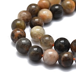 Natural Black Sunstone Beads Strands&nbsp;G-E576-01A