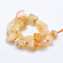 Natural Citrine Beads Strands&nbsp;G-K203-63