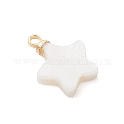 Natural Freshwater Charms&nbsp;PALLOY-JF04870