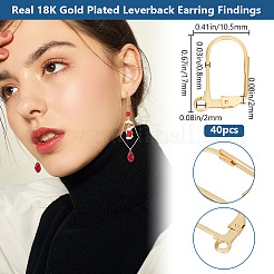 40Pcs 304 Stainless Steel Leverback Earring Findings&nbsp;STAS-BBC0003-92