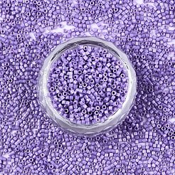 FGB 11/0 Grade A Baking Paint Glass Seed Beads&nbsp;SEED-S030-1044