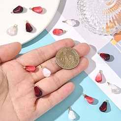 15Pcs 3 Colors Resin Pendants&nbsp;RESI-YW0006-02