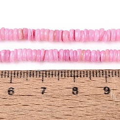 Natural Freshwater Shell Beads Strands&nbsp;SHEL-Q028-01E