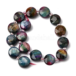 Dyed Natural Tiger Eye Beads Strands&nbsp;G-D105-A12-03
