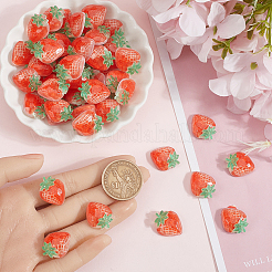60Pcs Opaque Resin Cabochons&nbsp;DIY-SC0028-30A