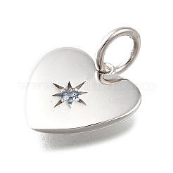 925 Sterling Silver Micro Pave Clear Cubic Zirconia Charms&nbsp;STER-V001-01P-12