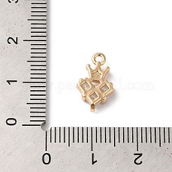 Brass Pendants&nbsp;KK-C062-104G