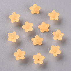 Transparent Acrylic Beads&nbsp;PL554-07