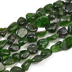 Natural Green Diopside Beads Strands&nbsp;G-G464-A01-02