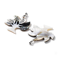 Natural Paua Shell & Black Lip Shell & White Shell Pendants&nbsp;FIND-A041-02D-P