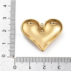 304 Stainless Steel Pendants&nbsp;STAS-R155-054F-G