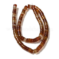 Natural Red Agate Beads Strands&nbsp;G-NH0017-E01-01