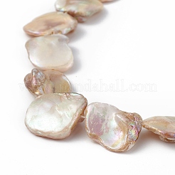 AB Color Plated Natural Freshwater Shell Beads Strands&nbsp;X-BSHE-G033-03B